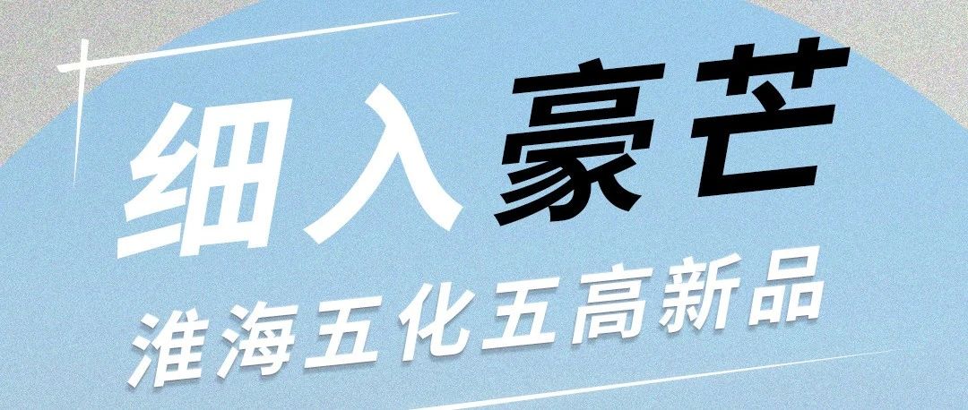 细入豪芒淮海五化五高新品来了